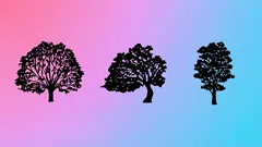 Test psicologico che ti mostrerà cosa cambiare in te: scegli uno degli alberi