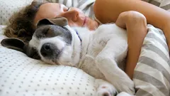Dormire con il cane attiva processi inattesi: non è solo una questione di calore