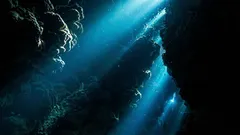 La Marina USA ha rilevato uno strano suono nell’oceano: chi potrebbe averlo emesso