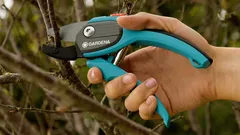 Giardino senza problemi: come scegliere il potatore giusto per il giardino?